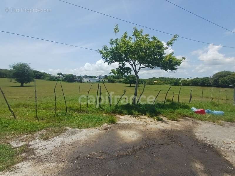 Terrain à PETIT-CANAL