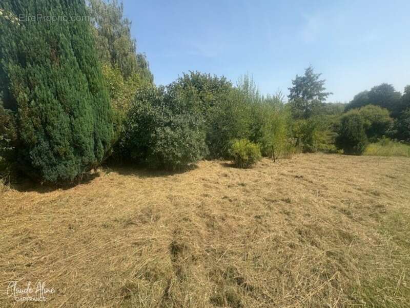 Maison à THIN-LE-MOUTIER
