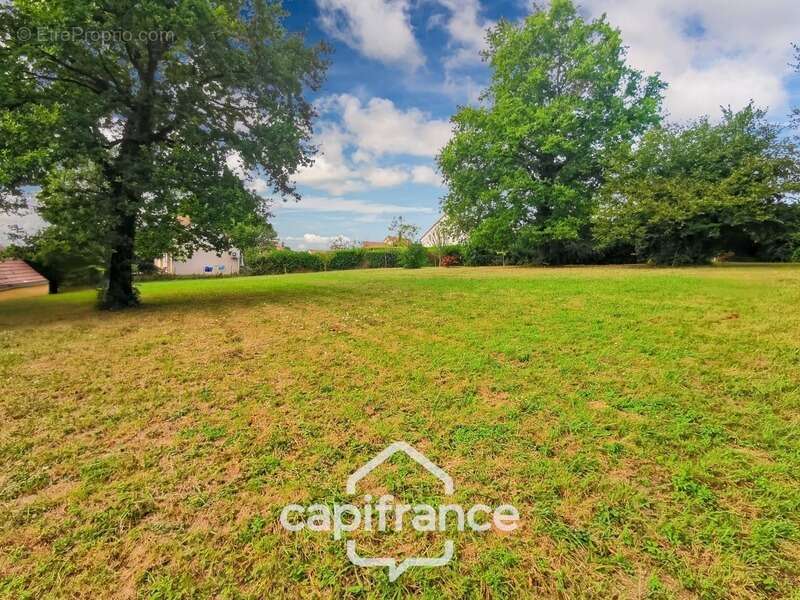 Terrain à CHALON-SUR-SAONE