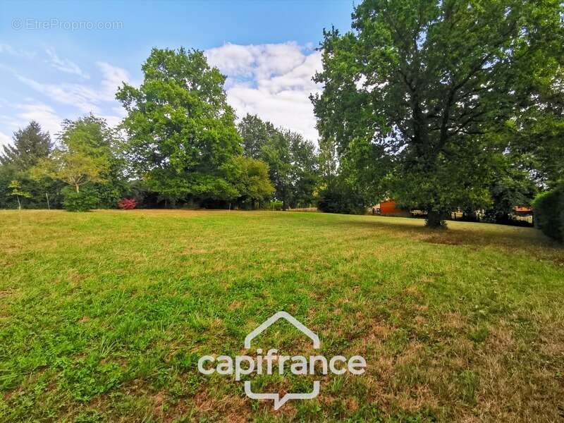 Terrain à CHALON-SUR-SAONE