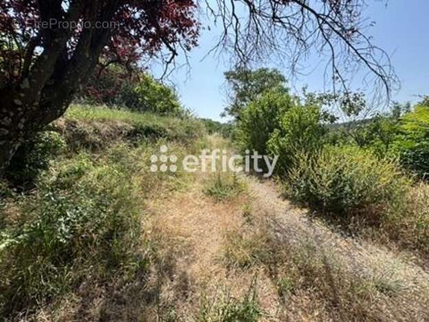 Terrain à LA TOUR-SUR-ORB