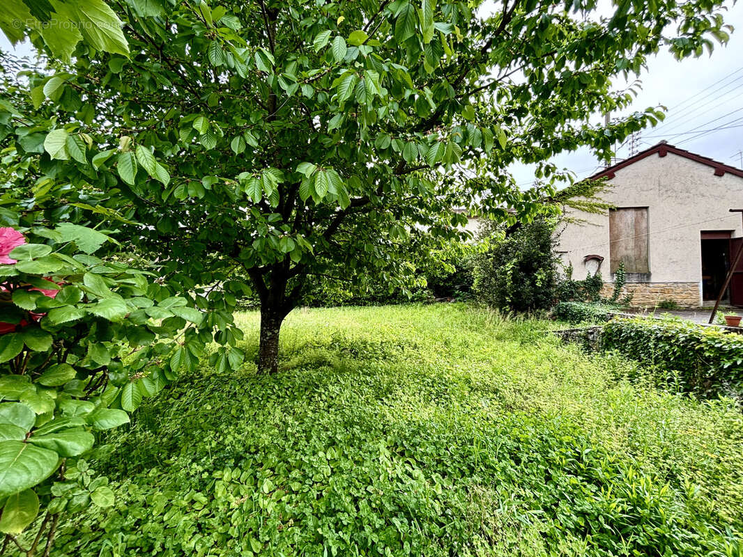 Terrain à COLLONGES-AU-MONT-D&#039;OR