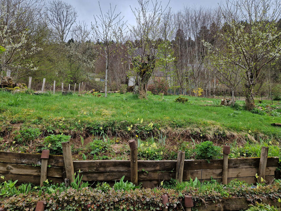 Appartement à MONT-DORE