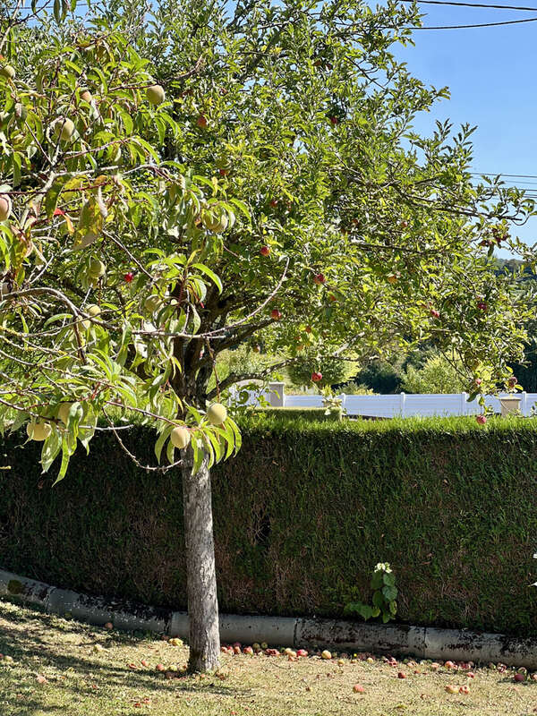 Maison à NONANT-LE-PIN