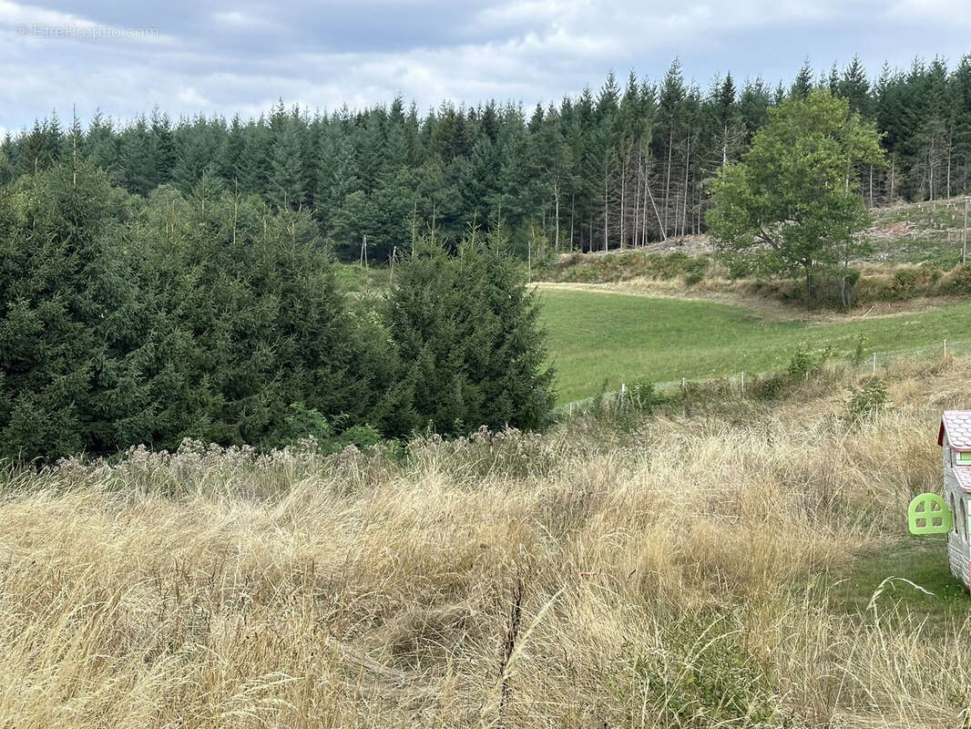 Terrain à SAINT-JUST-MALMONT