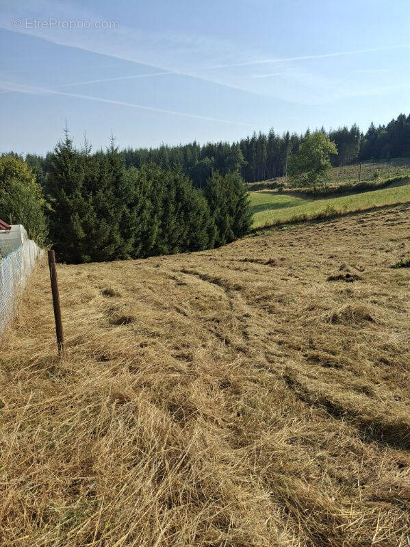 Terrain à SAINT-JUST-MALMONT