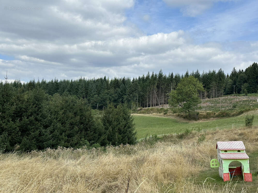 Terrain à SAINT-JUST-MALMONT