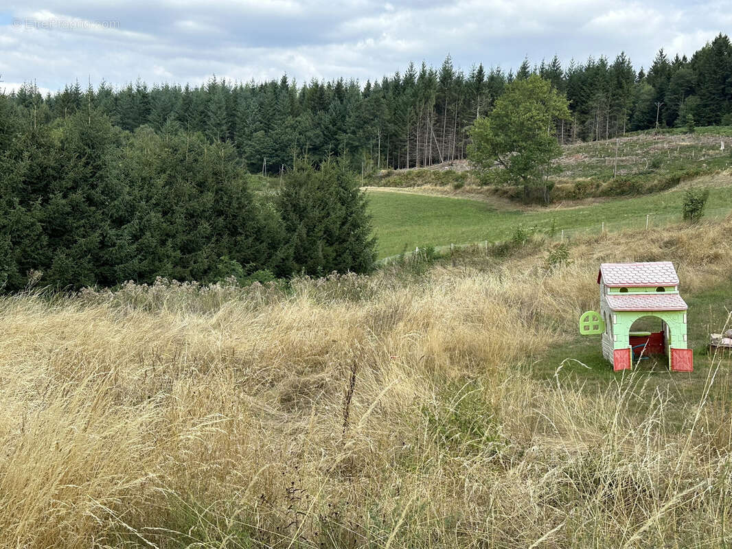 Terrain à SAINT-JUST-MALMONT