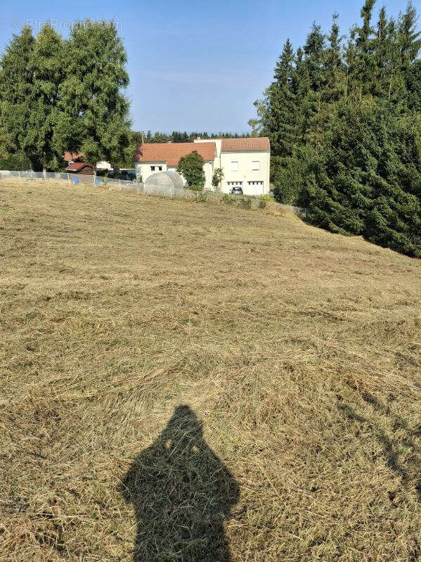 Terrain à SAINT-JUST-MALMONT