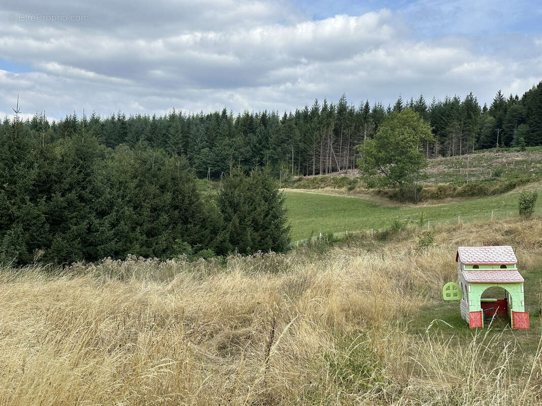 Terrain à SAINT-JUST-MALMONT