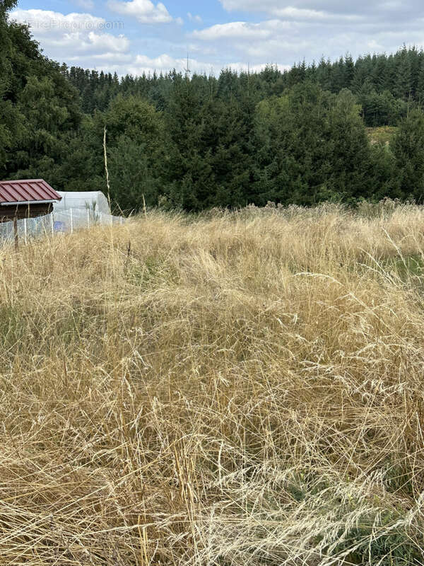 Terrain à SAINT-JUST-MALMONT