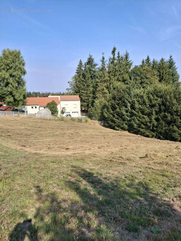 Terrain à SAINT-JUST-MALMONT