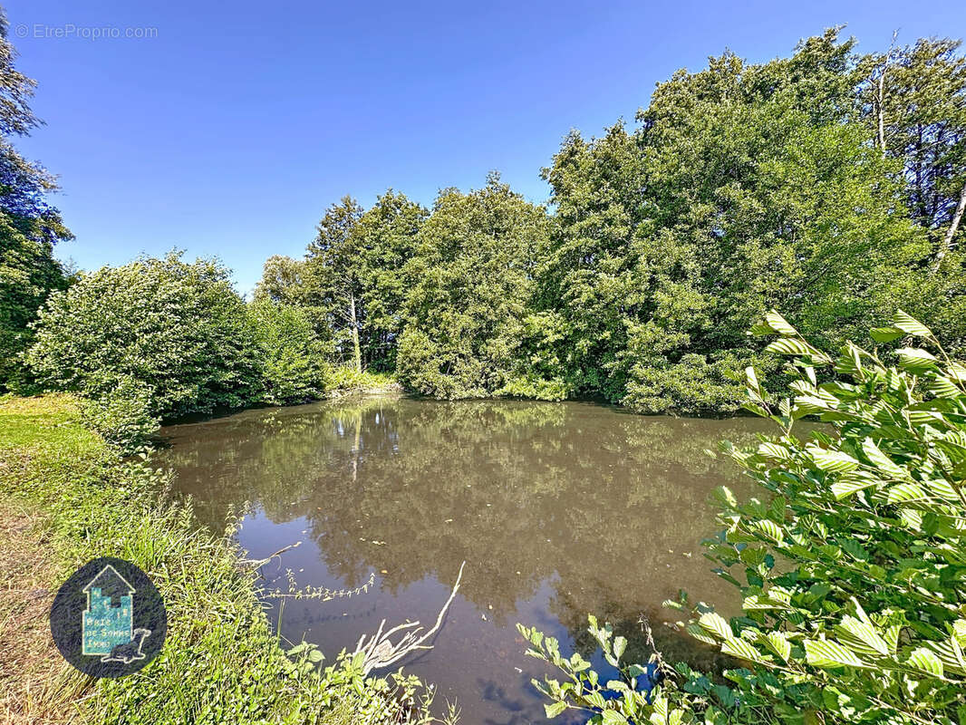 Maison à NOYELLES-SUR-MER