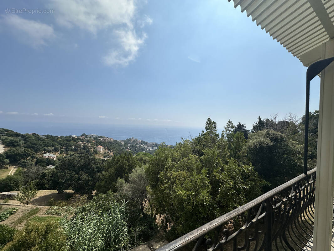 Maison à SAN-MARTINO-DI-LOTA