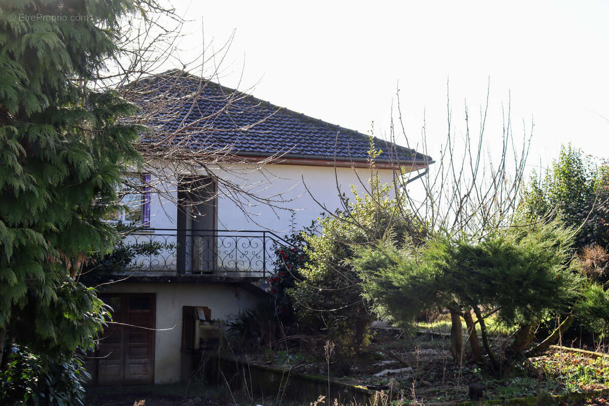 Commerce à CHAMPSAC