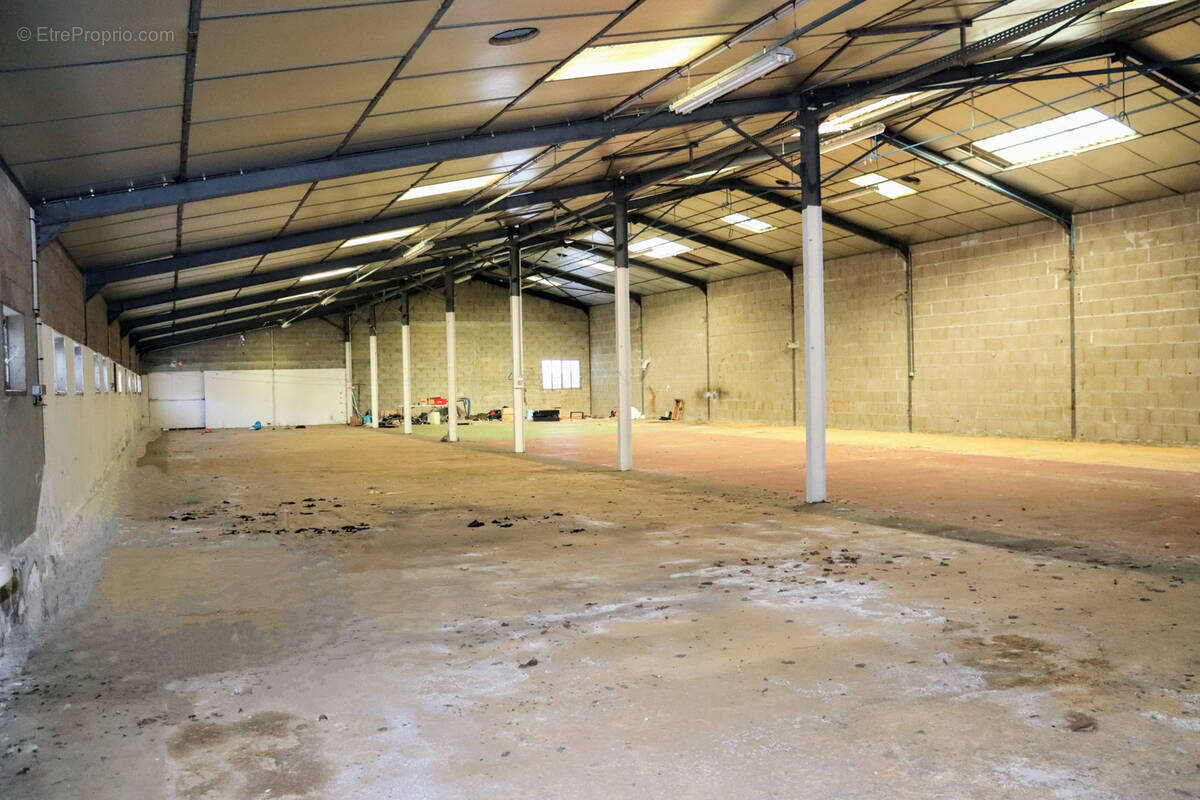 Commerce à CHAMPSAC