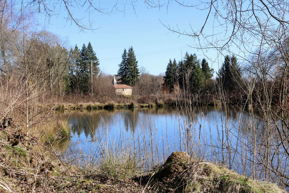 Commerce à CHAMPSAC