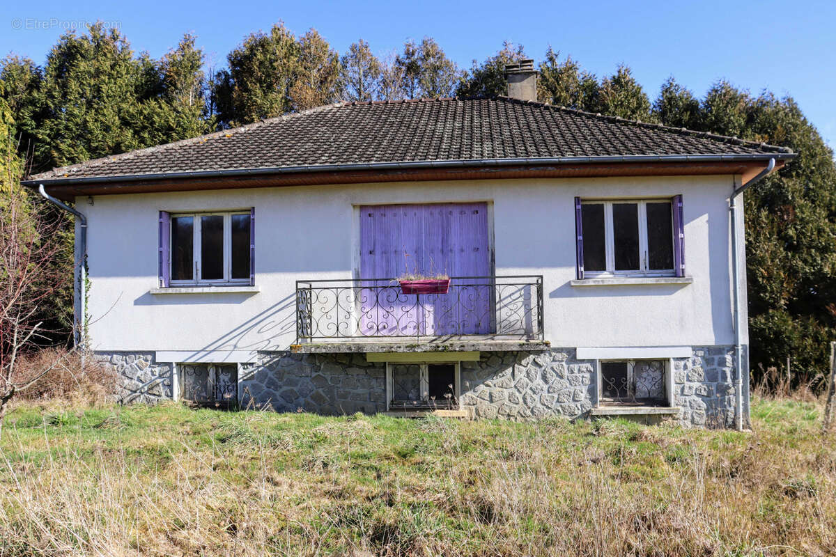 Commerce à CHAMPSAC