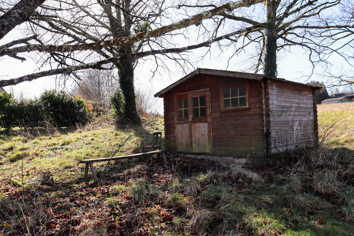 Commerce à CHAMPSAC