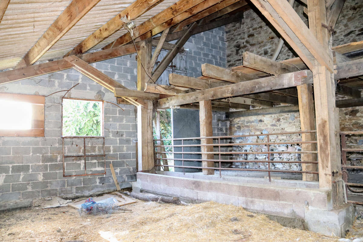 Commerce à CHAMPSAC