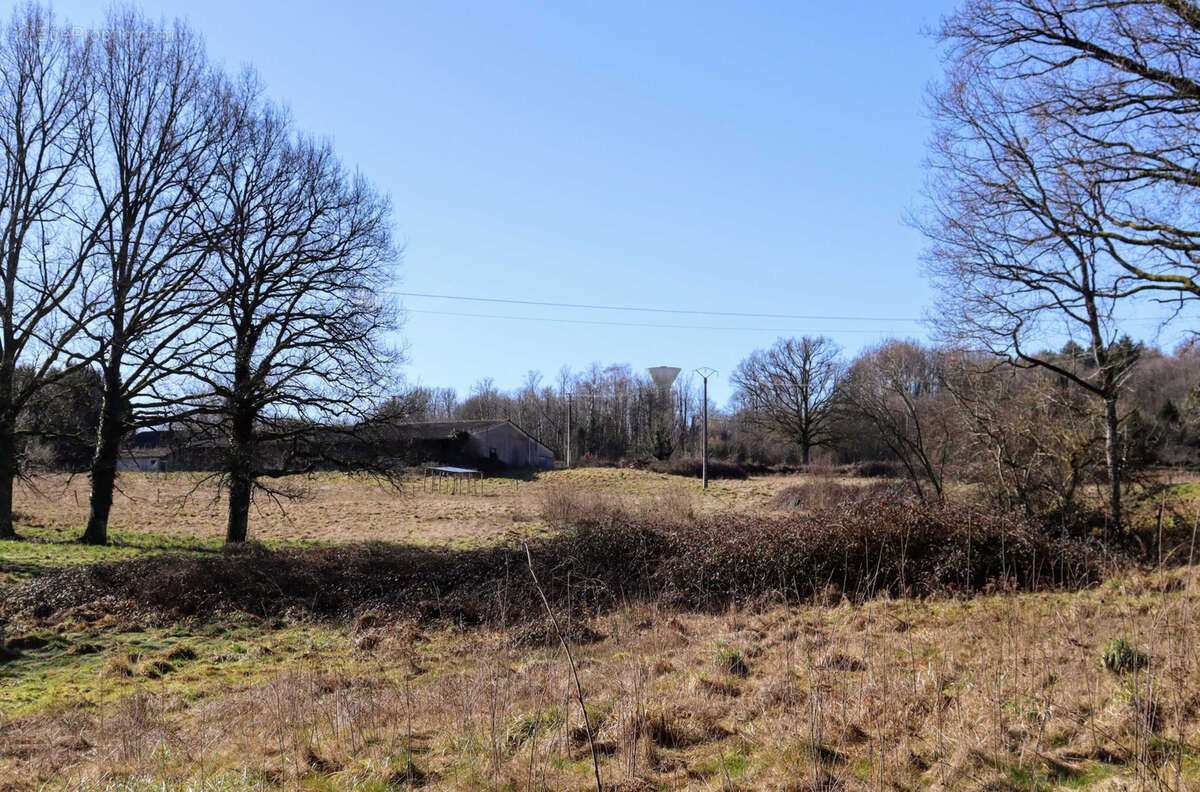 Commerce à CHAMPSAC