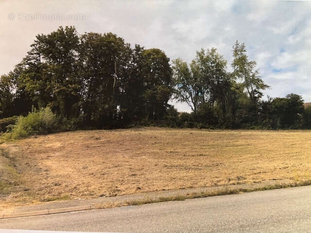 Terrain à JETTINGEN