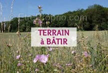 Terrain à HIRSINGUE