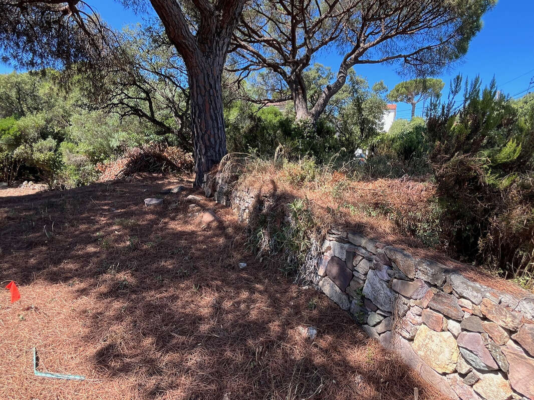 Terrain à FREJUS