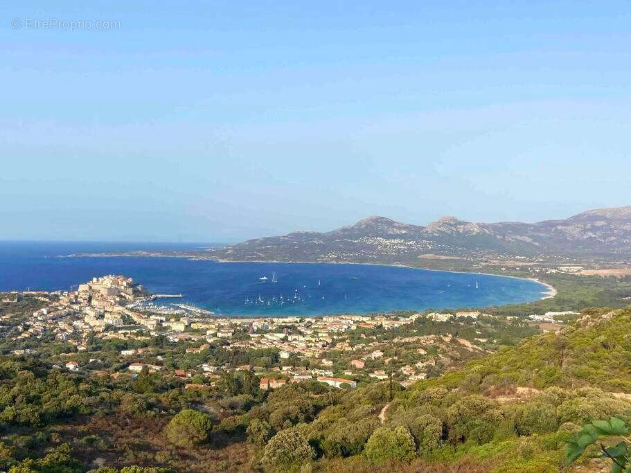 Appartement à CALVI
