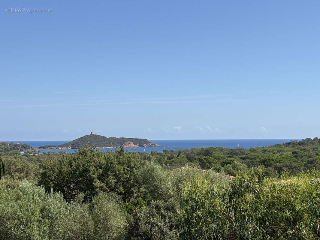 Maison à PORTO-VECCHIO