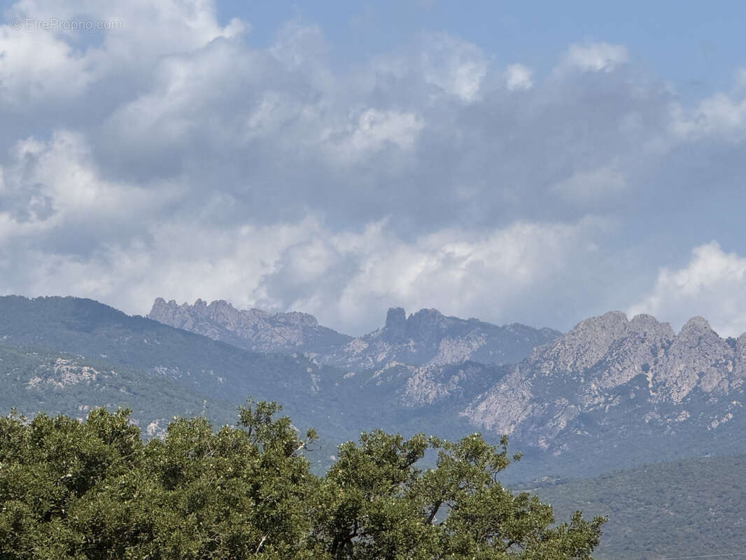Maison à PORTO-VECCHIO