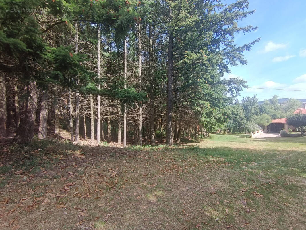 Maison à SAINT-JULIEN-LE-ROUX