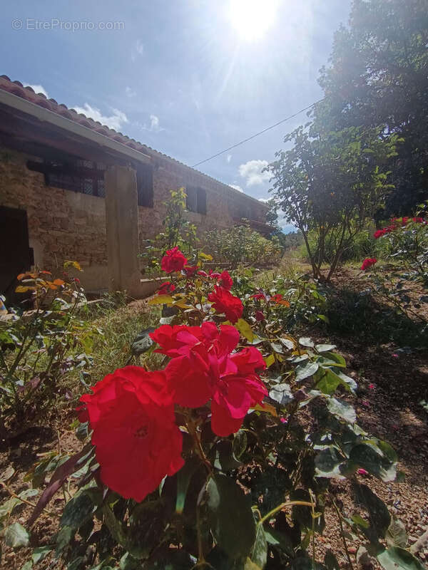 Maison à SAINT-JULIEN-LE-ROUX