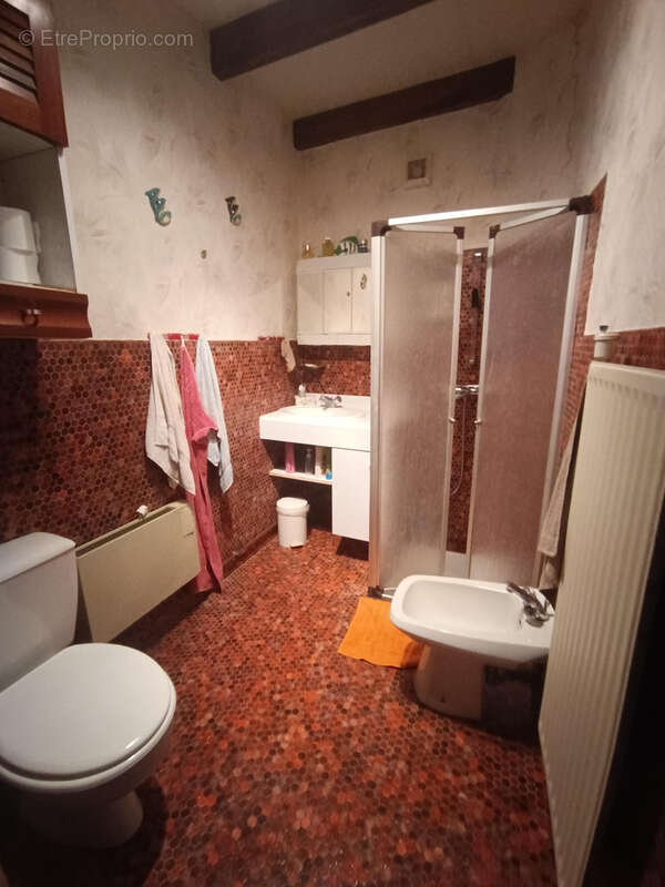 Maison à SAINT-JULIEN-LE-ROUX