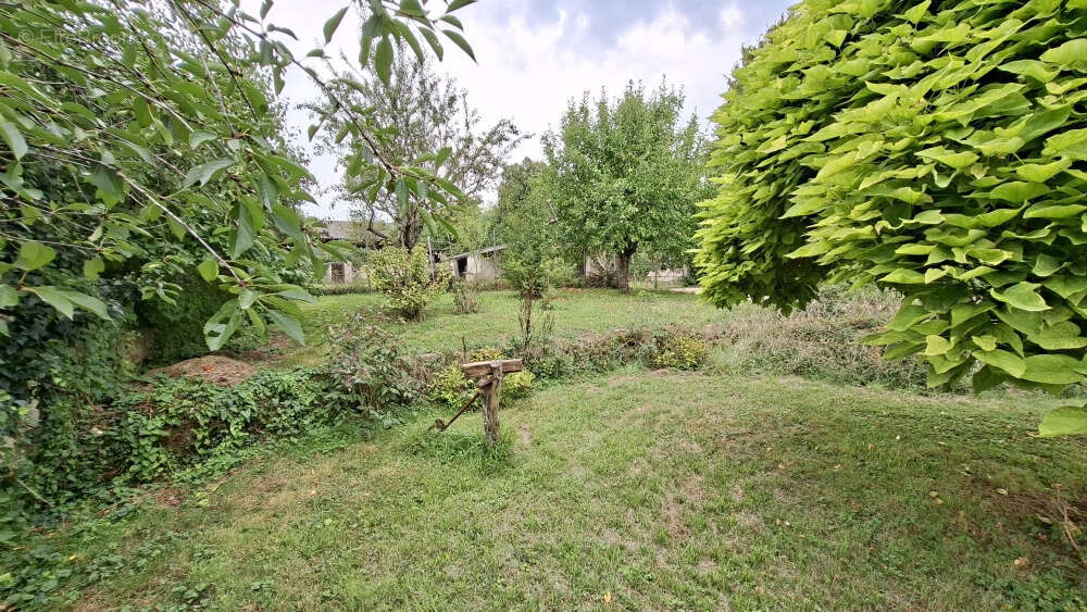 Appartement à AILLANT-SUR-THOLON