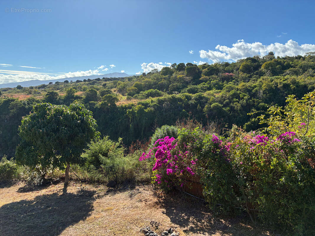 Maison à SAINT-PAUL