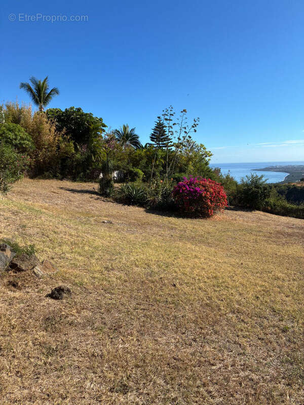 Maison à SAINT-PAUL