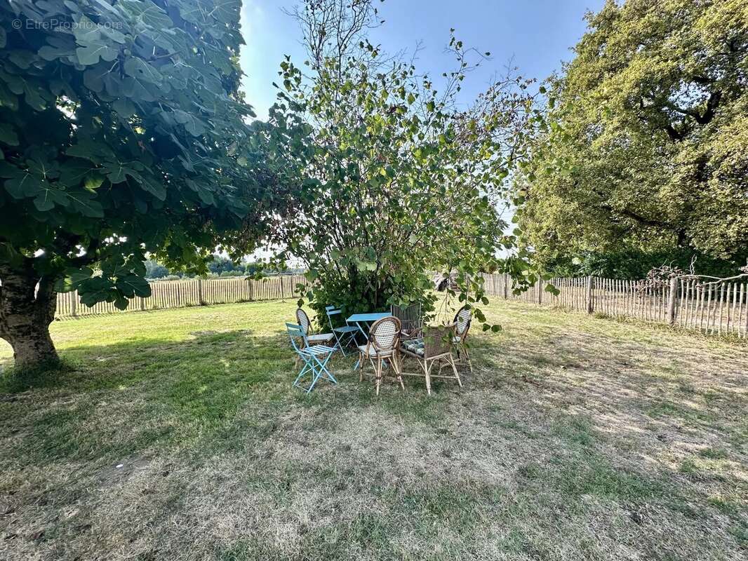 Maison à SAINT-GIRONS-D&#039;AIGUEVIVES