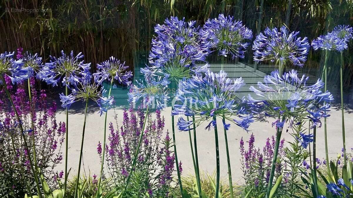 Maison à NOIRMOUTIER-EN-L&#039;ILE