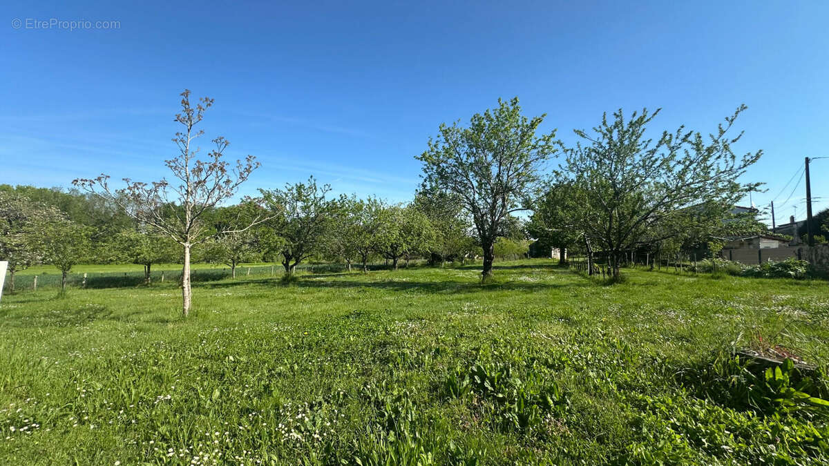 Terrain à PORT-D&#039;ENVAUX