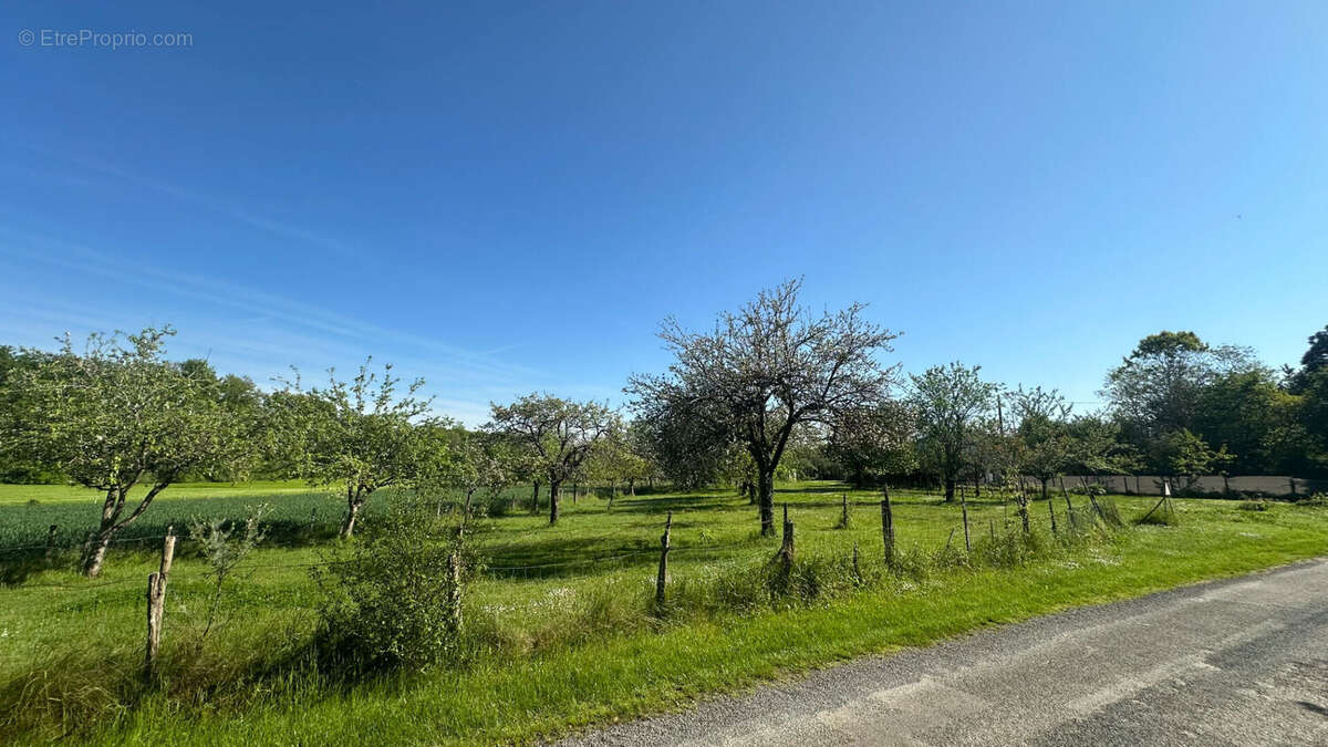 Terrain à PORT-D&#039;ENVAUX