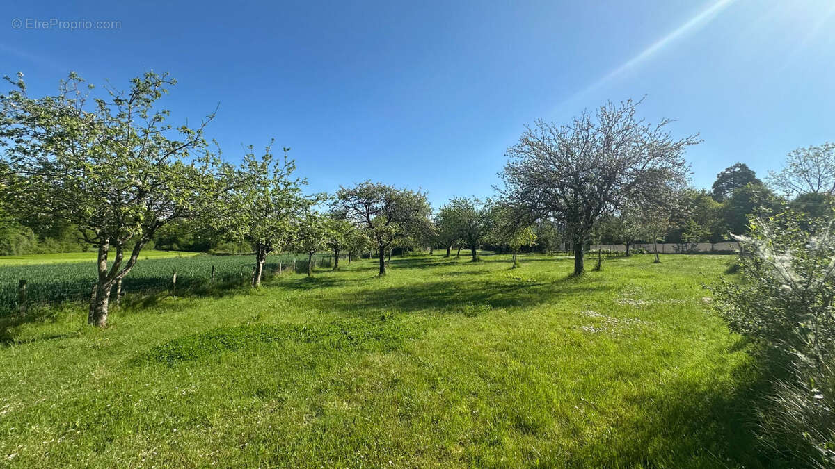 Terrain à PORT-D&#039;ENVAUX