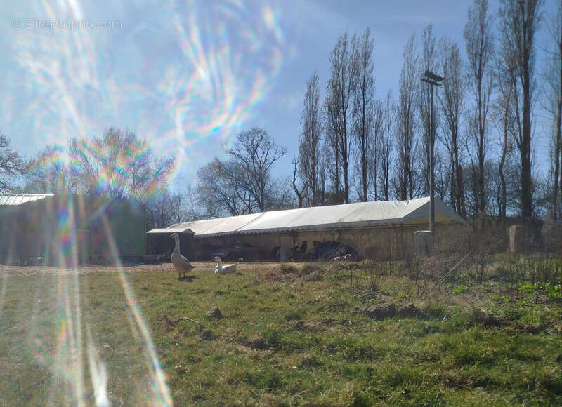 Terrain à SAINT-ARMEL