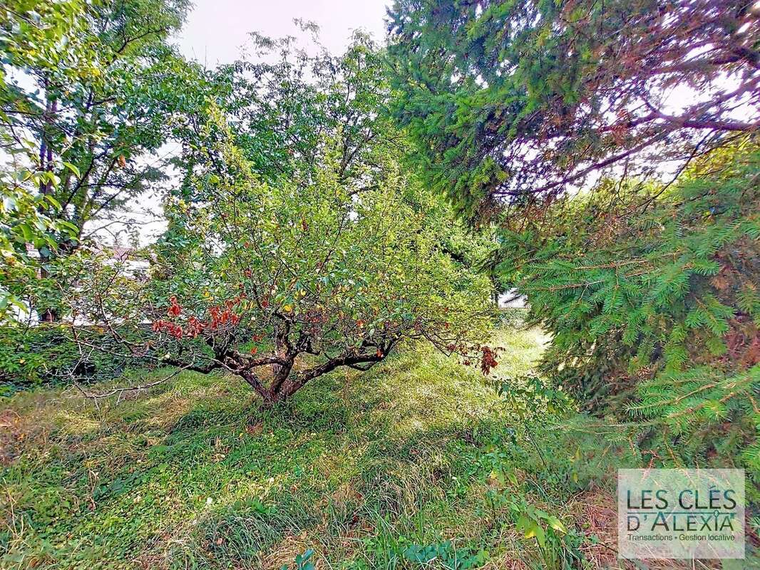 Terrain à LOIRE-SUR-RHONE