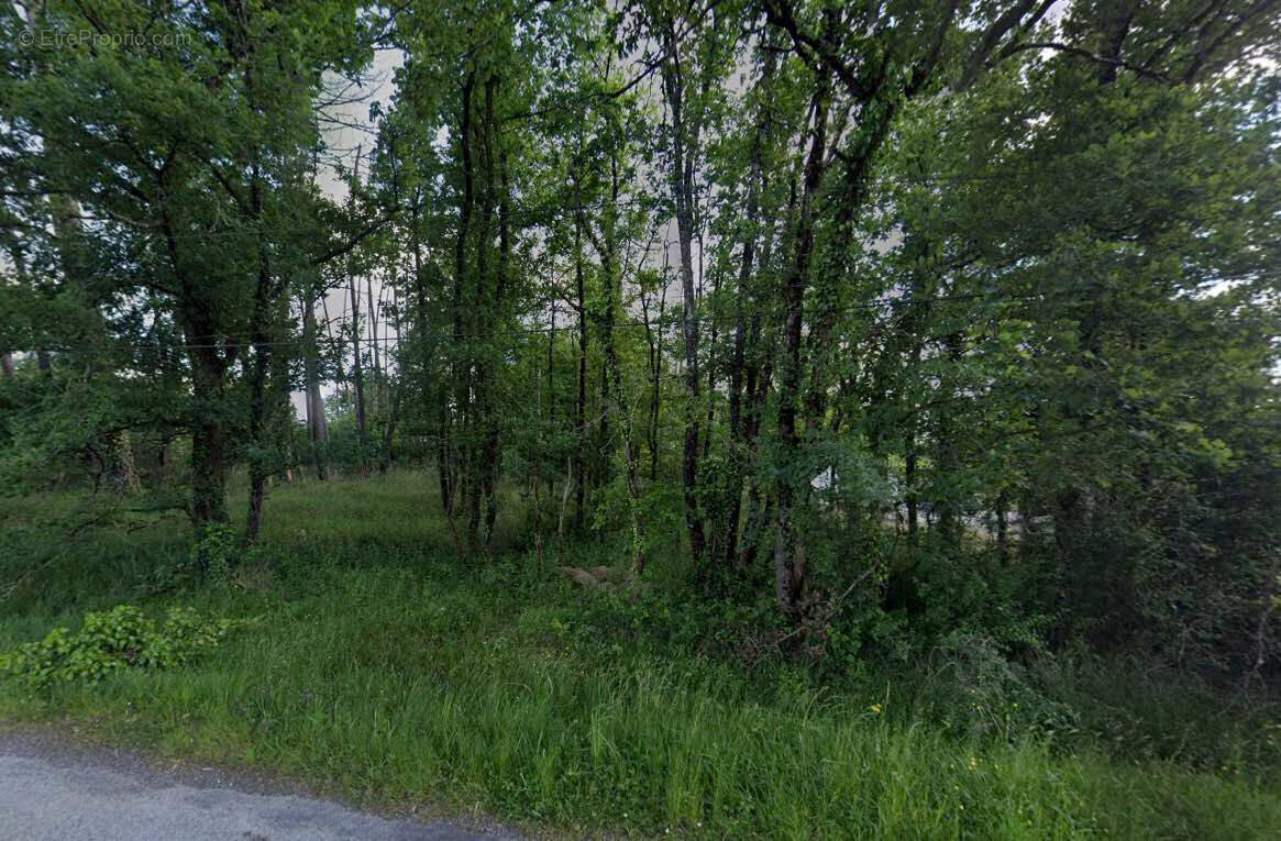 Terrain à LA ROCHE-CHALAIS