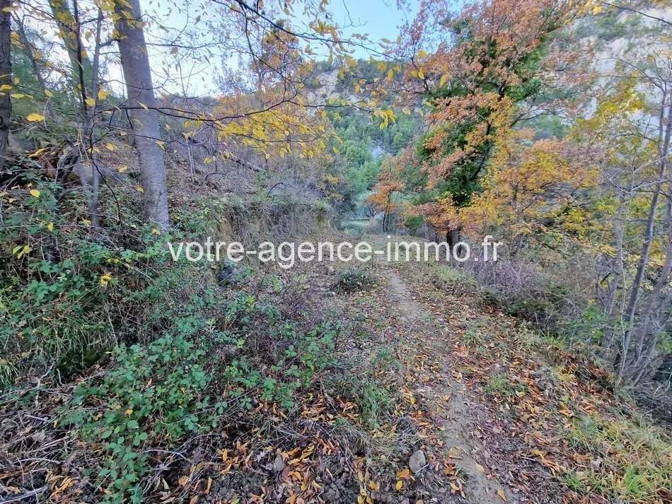Terrain à COARAZE