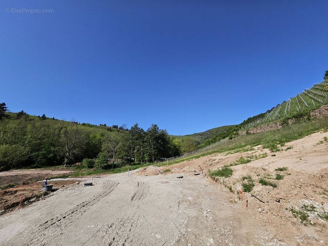 Terrain à KATZENTHAL