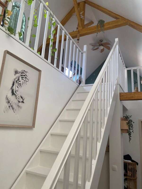 Maison à SALLENELLES