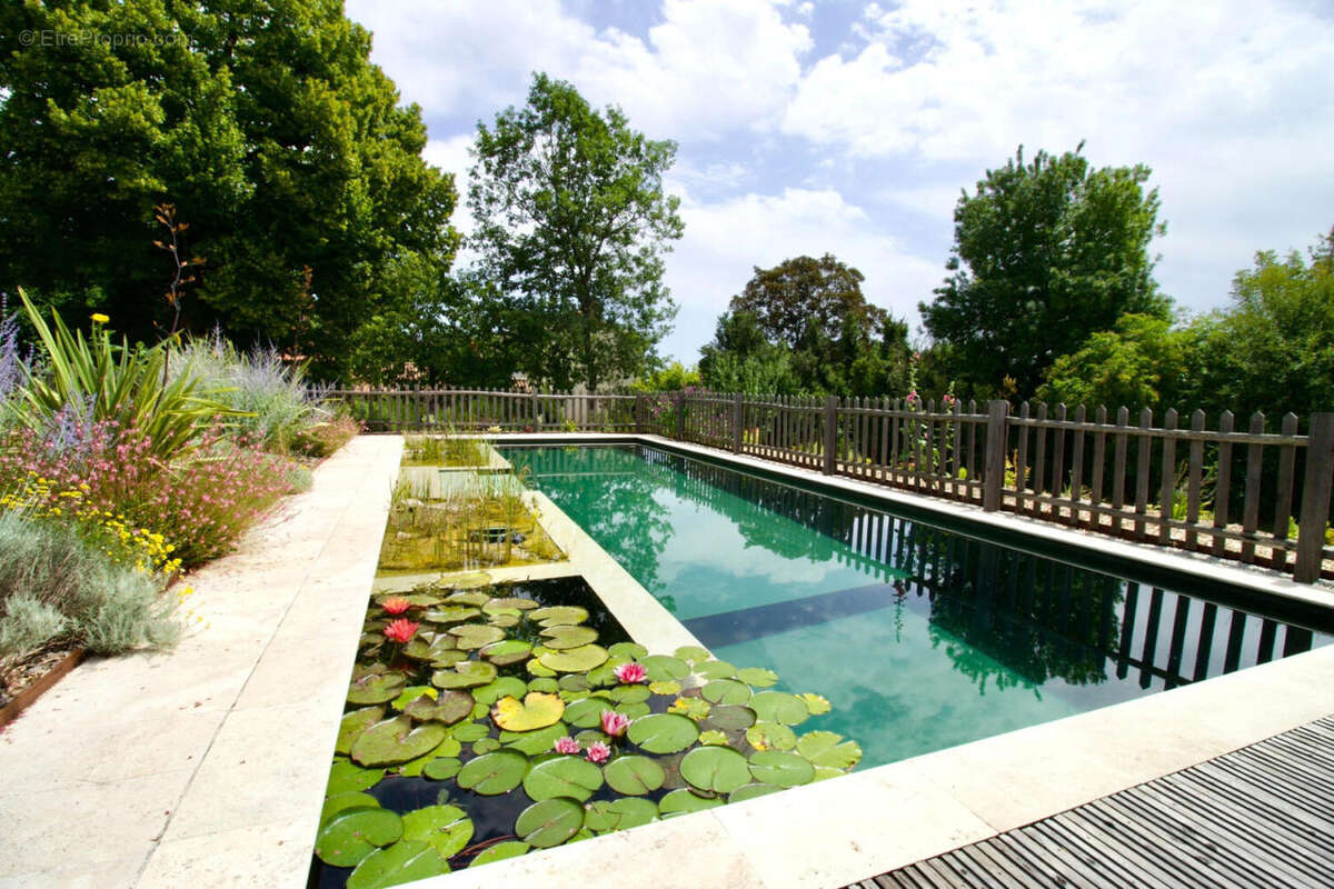 PISCINE - Maison à MOUTON