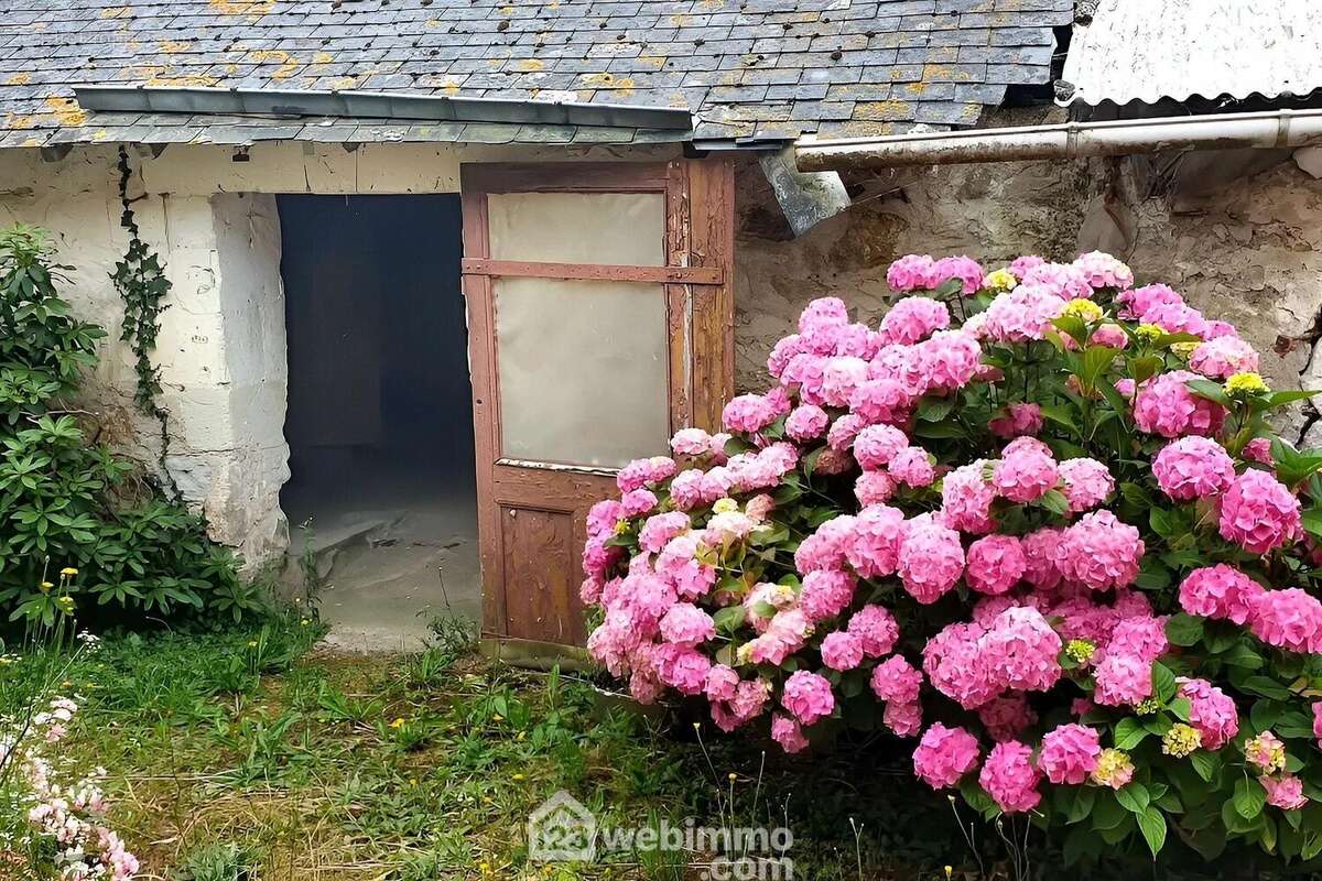 Maison à CHALONNES-SUR-LOIRE